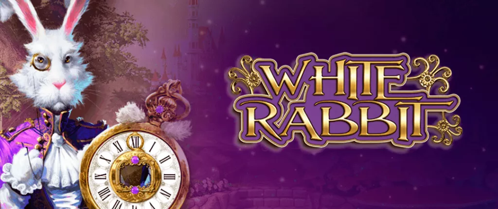White rabbit promo
